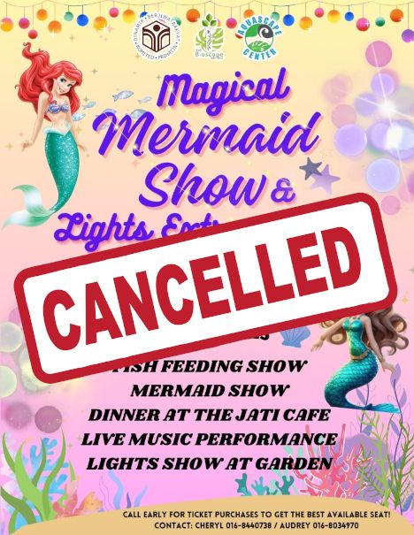 Poster for Magical Mermaid Show & Lights Extravaganza