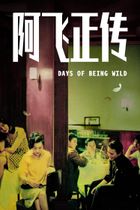 Movie poster for Days Of Being Wild