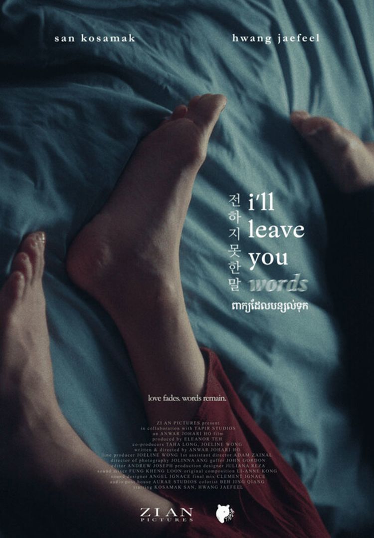 movie poster for I'll Leave You Words