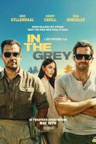 Movie poster for In The Grey