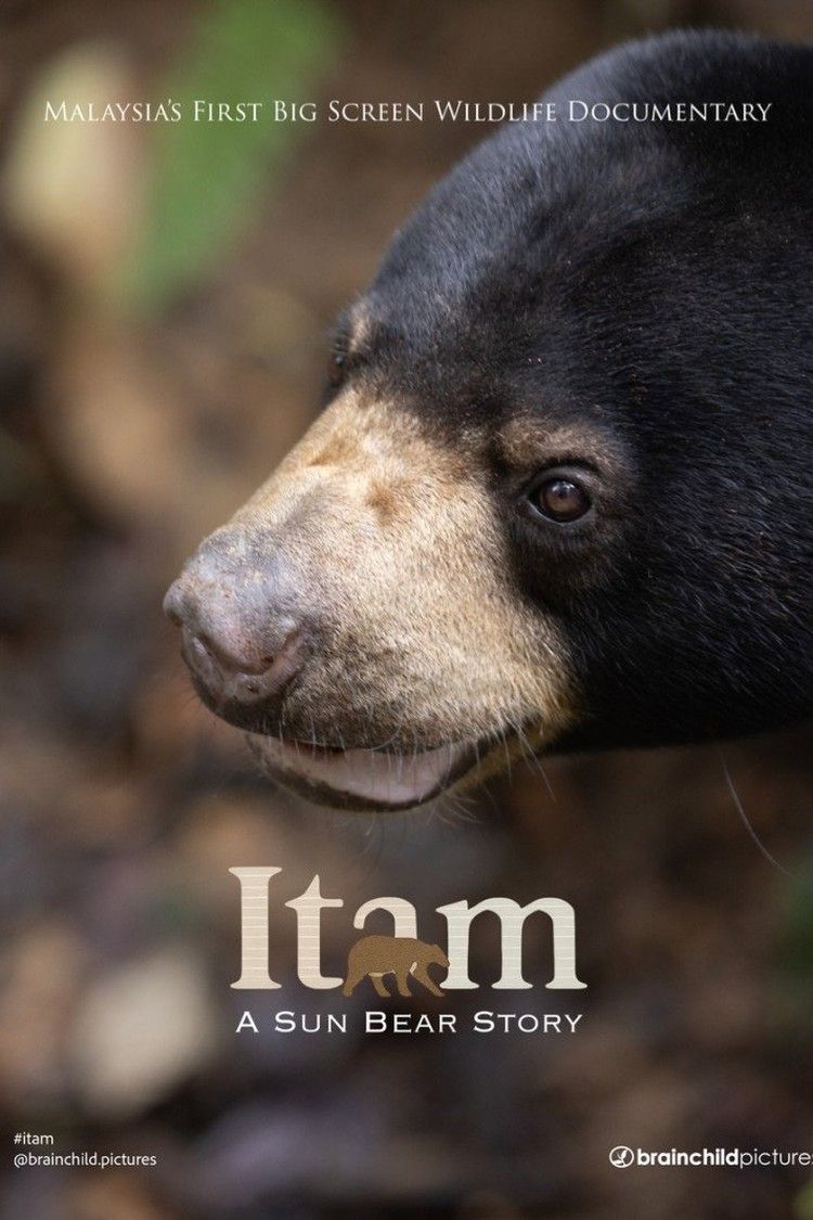 movie poster for Itam: A Sun Bear Story
