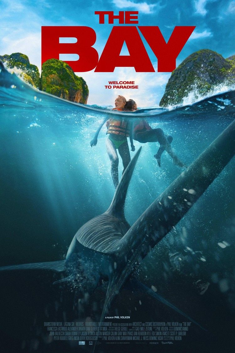 movie poster for The Bay