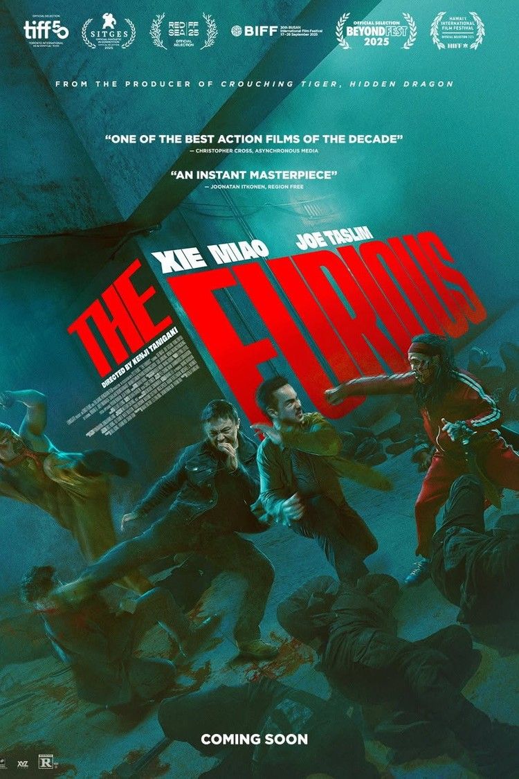 movie poster for The Furious