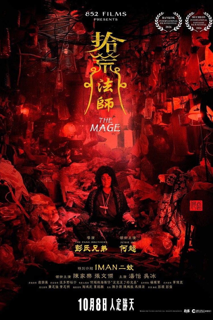 movie poster for The Mage