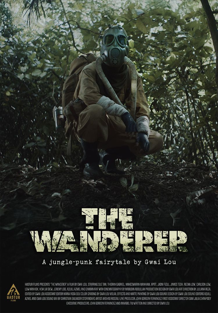 movie poster for The Wanderer