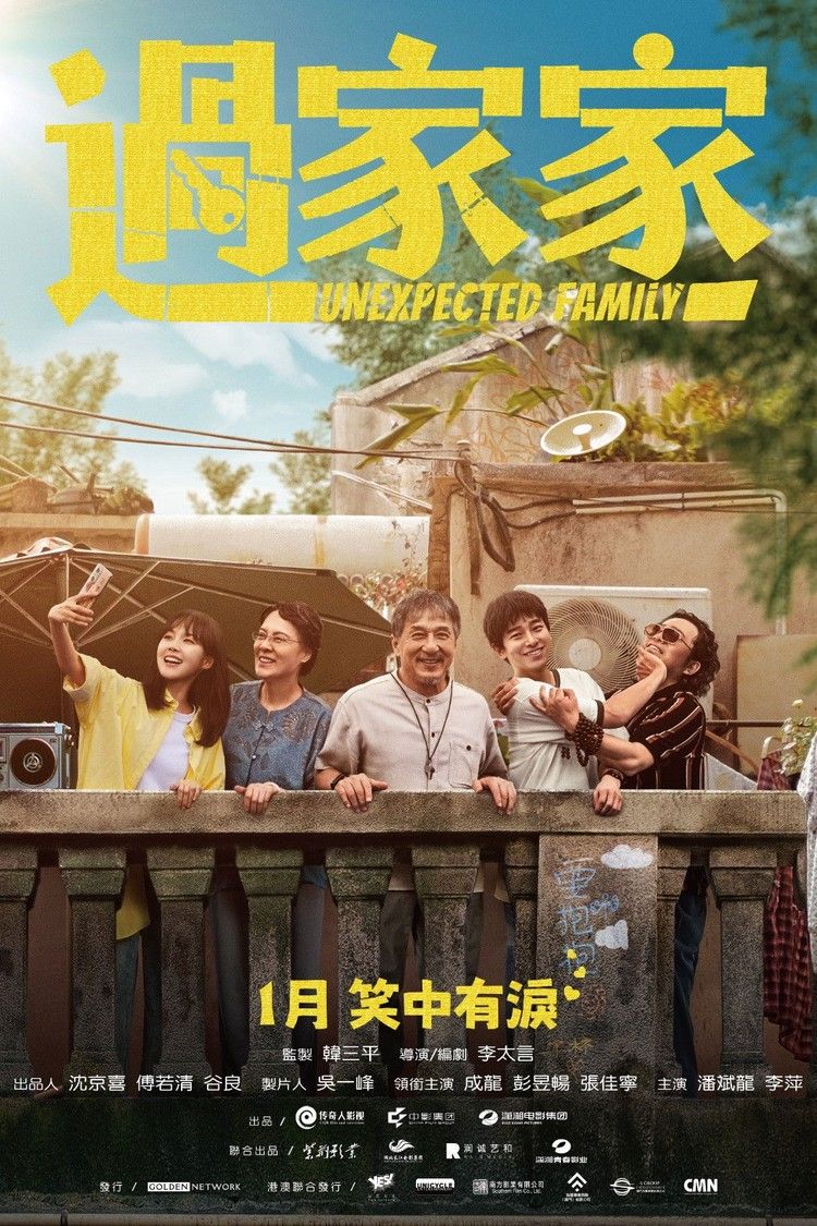 movie poster for Unexpected Family